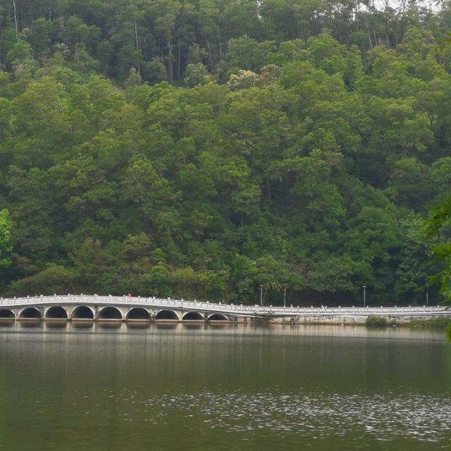 仙湖植物園