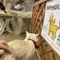 【那須どうぶつ王国】イベント盛り沢山