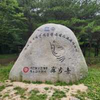유네스코등록 한국의산사 마곡사 장엄하다 .  대한불교조계종 제6교구 본산