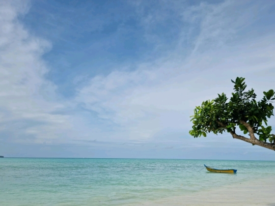 エパミノンダス（1オス、アンダマン島） アンダマン・ニコバル諸島のおすすめ観光スポット2025年（11月更新