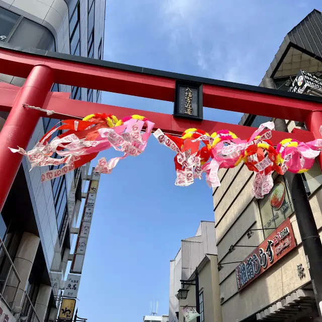 《東京近郊鎌倉一日遊》