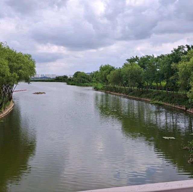 韓國景點😍義王鐵道自行車☺️40分鐘邊踩單車邊睇靚風景📸