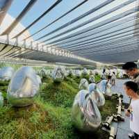 可置身於水中參觀的美術館| 豐洲teamLab Planets