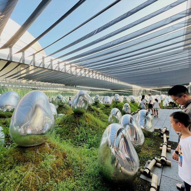可置身於水中參觀的美術館| 豐洲teamLab Planets