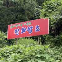 경남 고성에 위치한 작은 식물원, 만화방초