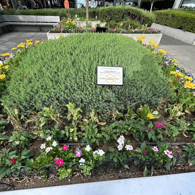 【東京・経堂】経堂コルティ