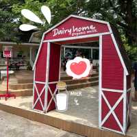 Dairy Home สัมผัสกับรสชาตินมเน้นๆ ได้ที่นี่