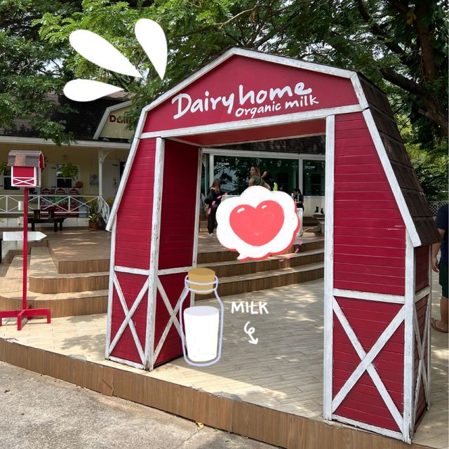 Dairy Home สัมผัสกับรสชาตินมเน้นๆ ได้ที่นี่