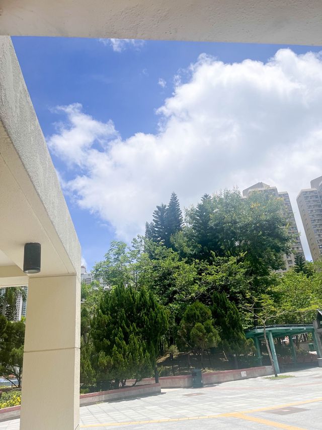 【公園小食亭的精品咖啡】