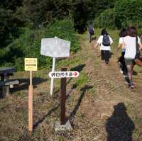 能登半島 ｜🩵木ノ浦海域公園
