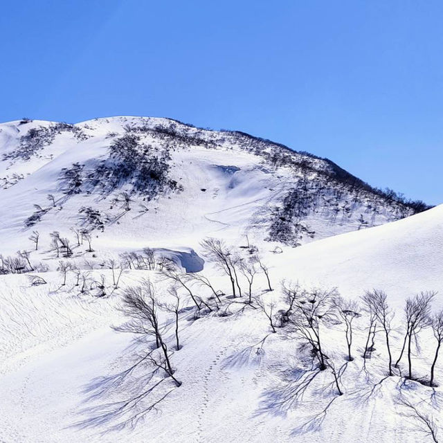 Mount Niinoji experience 🏔️🗻