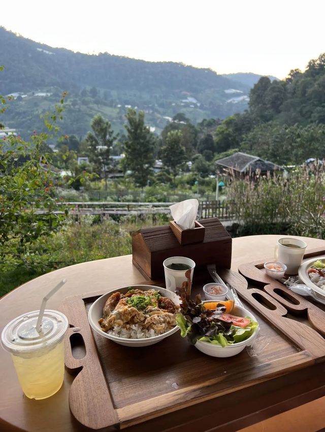 ไปเที่ยว Mori Natural Farm ที่เชียงใหม่กัน!🌳