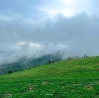 Akha Framville🐑🌳🍃