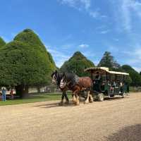 Hampton Court Palace