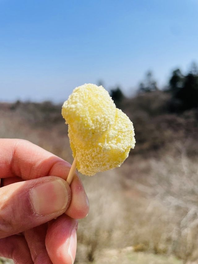 【長野県＆群馬県/しげの屋】名物・碓氷そば＆元祖力餅