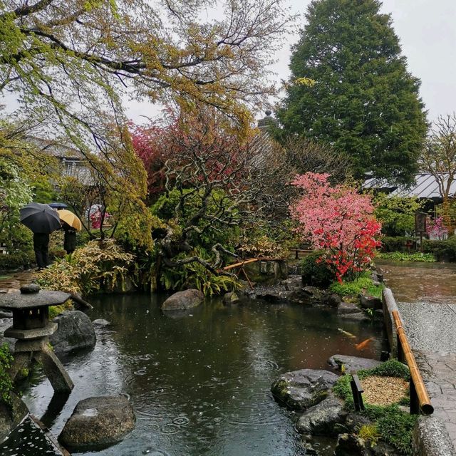 Stunning Kamakura Hasedera Japan