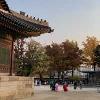 고즈넉한 경복궁.. 가을에 더 예쁜거 아셨나요?🤎🍁
