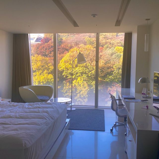 연말을 제대로 즐길 수 있는 최고의 호캉스, 비스타 워커힐 호텔✨