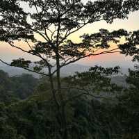 大坑四號步道～看夕陽推薦