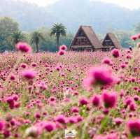 Hokkaido Flower Park Khaoyai