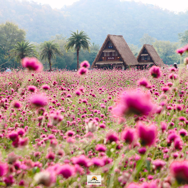 Hokkaido Flower Park Khaoyai