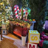 Flower Dome Christmas