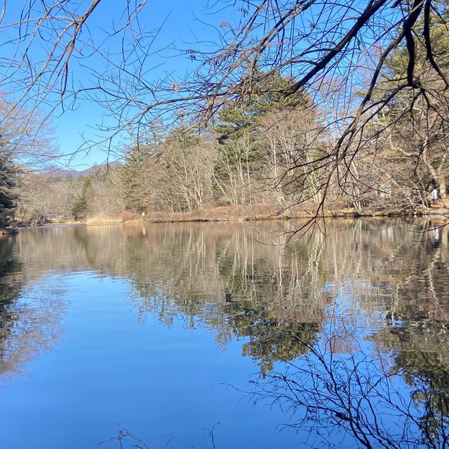 Kumoba Pond: Nature's Tranquil Symphony! 🌲✨