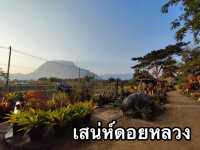 ร้านอาหารท่ามกลางบรรยากาศ ดอยหลวงเชียงดาว