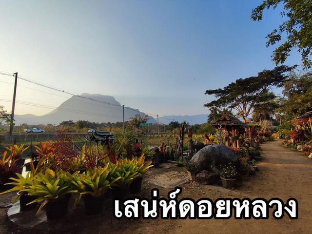 ร้านอาหารท่ามกลางบรรยากาศ ดอยหลวงเชียงดาว