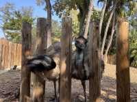 台灣歷史最悠久的動物園，新竹市立動物園