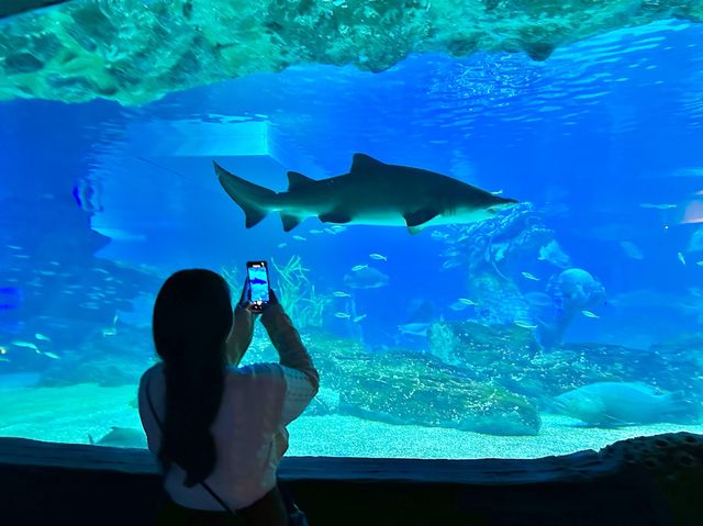 부산에 하나뿐인 아쿠아리움🐳