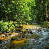 น้ำตกโตนไพร จ.พังงา