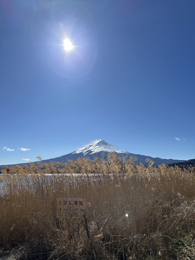 후지산보기 좋은 가와구치코호수🗻👍🏻