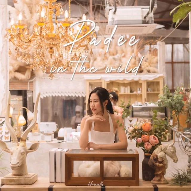 คาเฟ่สวย ธีมบ้านไร่ในป่าใหญ่ มุมถ่ายรูปเพียบ