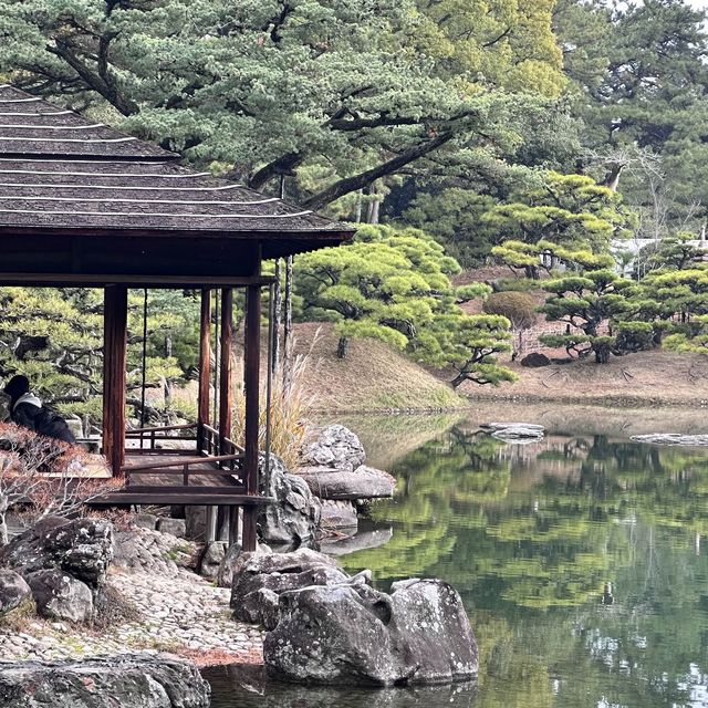 栗林公園🍁十二月賞楓❤️一步一景