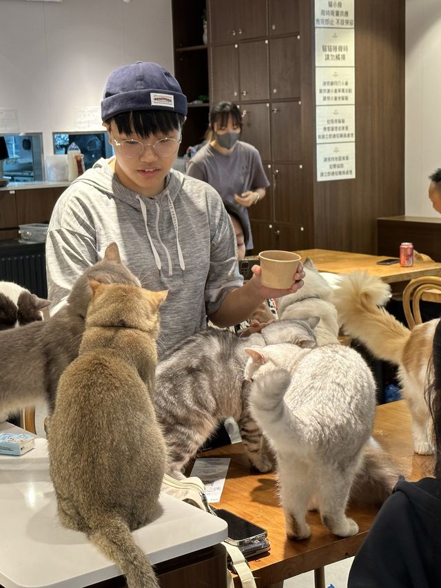 《Urban Cafe兆萬新店》