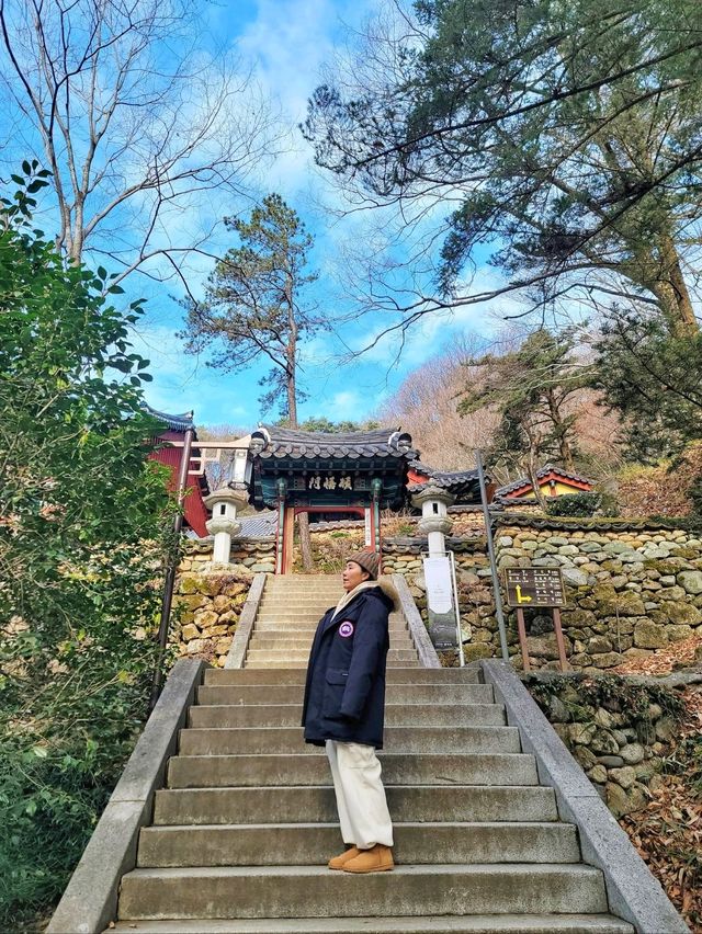 벚꽃시즌이 더 기대되는 하동의 대표여행지💛