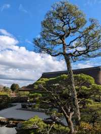 仁和寺の庭や池を眺めるていると、神社とは、また違う…寺院独特の荘厳な美しさを感じる