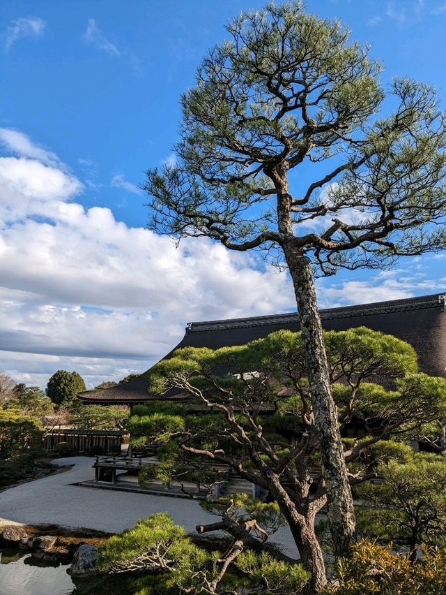 仁和寺の庭や池を眺めるていると、神社とは、また違う…寺院独特の荘厳な美しさを感じる