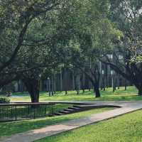 「新加坡難得的市區綠洲：肯特崗公園」