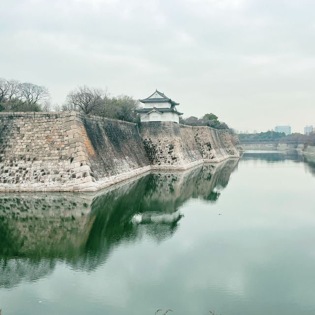 The castle of Osaka