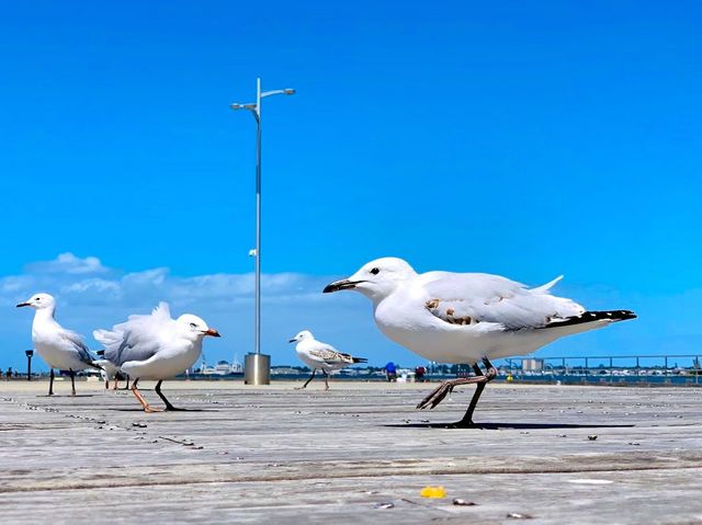 Port Melbourne Beach