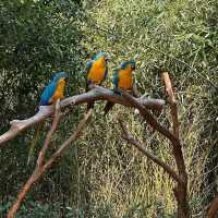 【曼谷野生動物世界：獨一無二的自然樂園！動物園推介】