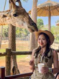 越南富國島親子景點｜珍珠野生動物園 Vinpearl Safari Phu Quoc 