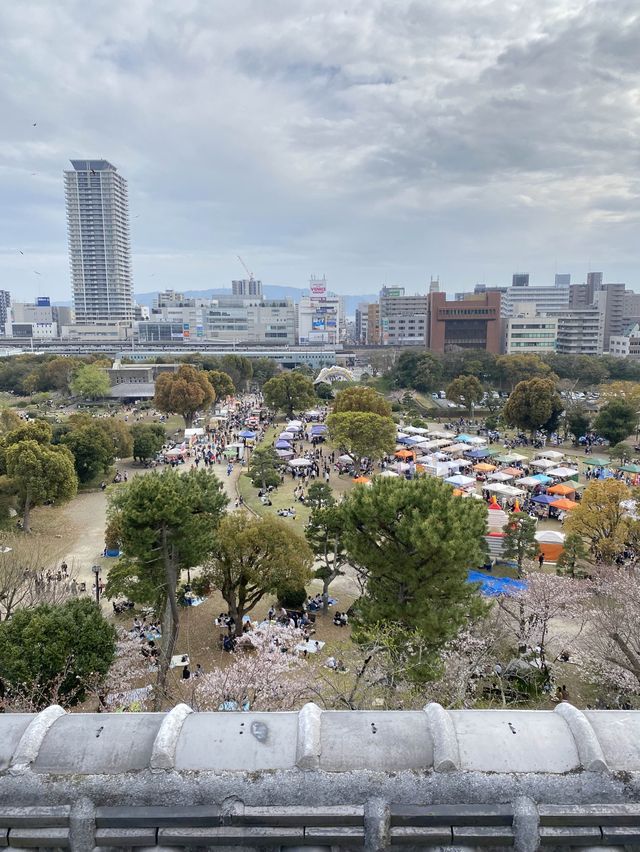 【2024年桜】明石城跡（明石公園）