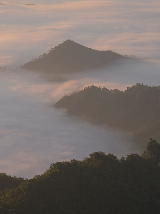 รีวิวเส้นทาง ภูชี้ดาว !! 🚗 ⛰️