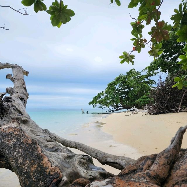 เกาะกระดาน จ.ตรัง ชายหาดที่ดีที่สุดในโลก