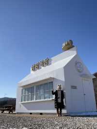 겨울은 역시 강원도죠