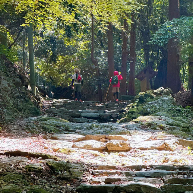 「七星山步道：山林景緻、健身效果一流，絕佳戶外體驗！」