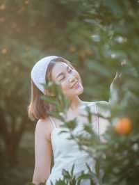 JINJU the orange farm 